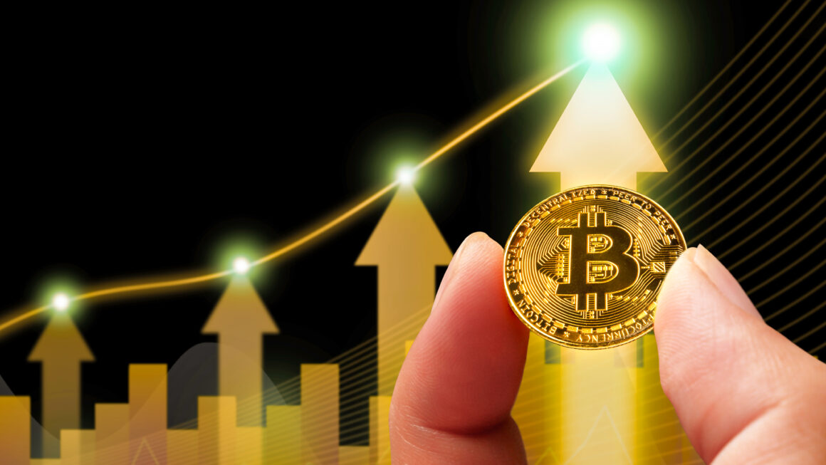 BTC выше $96K: прибыль краткосрочных китов и новые рекорды сети