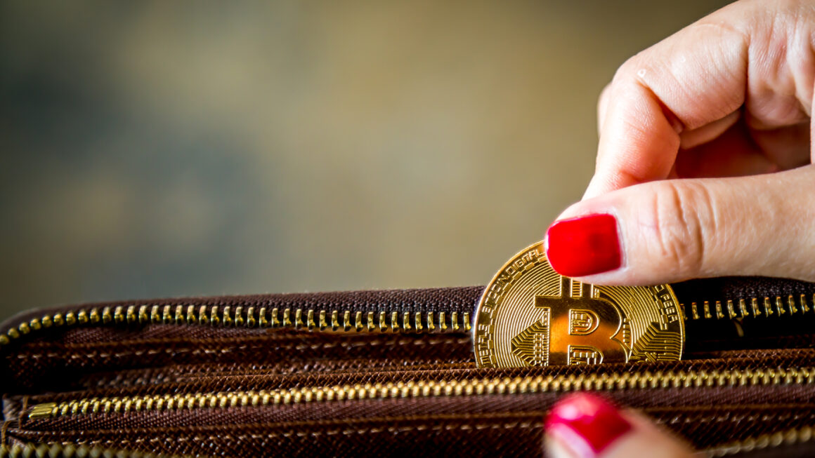 Институциональный биткоин-бум: как госфонды приближают $500 000 за BTC