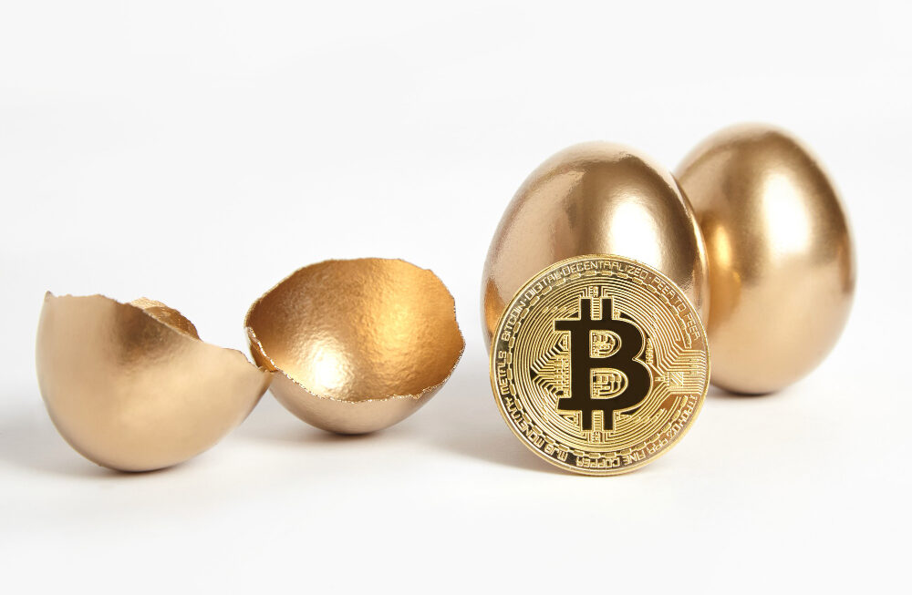 Экономист Стив Ханке резко оценил биткоин: критика как «золото дураков»